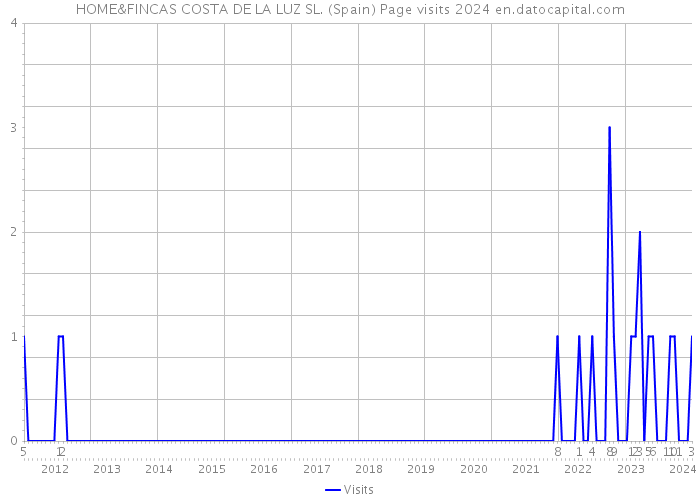 HOME&FINCAS COSTA DE LA LUZ SL. (Spain) Page visits 2024 