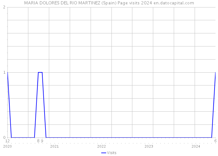 MARIA DOLORES DEL RIO MARTINEZ (Spain) Page visits 2024 