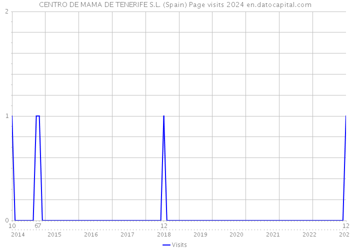 CENTRO DE MAMA DE TENERIFE S.L. (Spain) Page visits 2024 