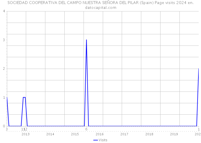 SOCIEDAD COOPERATIVA DEL CAMPO NUESTRA SEÑORA DEL PILAR (Spain) Page visits 2024 