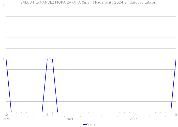 SALUD HERNANDEZ MORA ZAPATA (Spain) Page visits 2024 