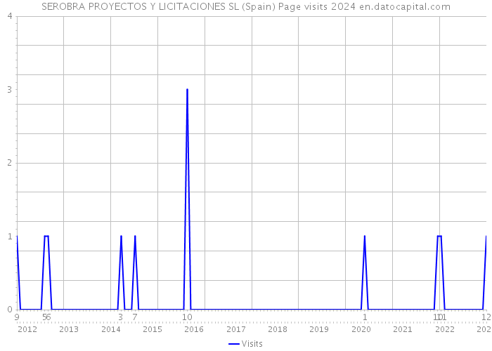 SEROBRA PROYECTOS Y LICITACIONES SL (Spain) Page visits 2024 
