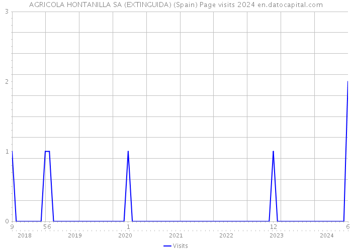 AGRICOLA HONTANILLA SA (EXTINGUIDA) (Spain) Page visits 2024 