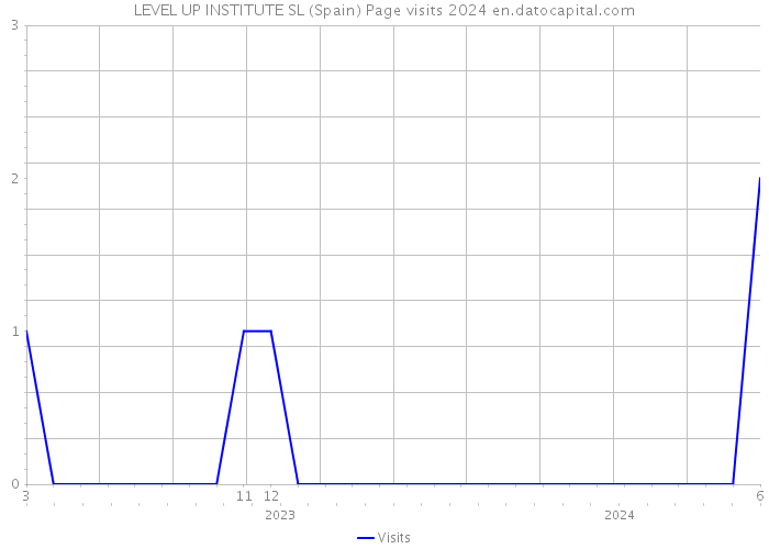 LEVEL UP INSTITUTE SL (Spain) Page visits 2024 