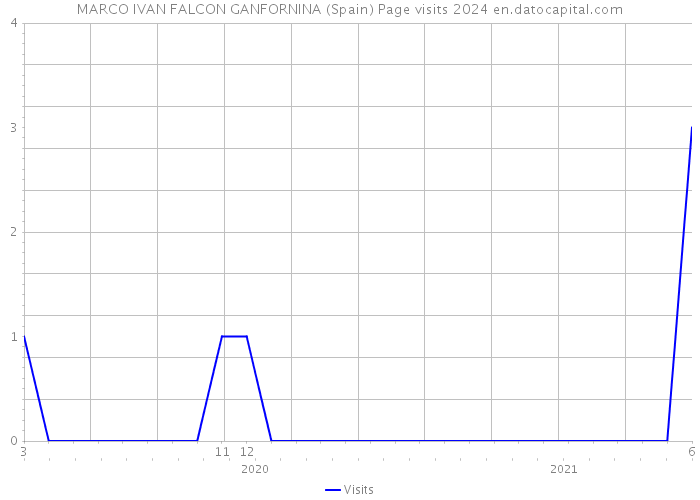 MARCO IVAN FALCON GANFORNINA (Spain) Page visits 2024 