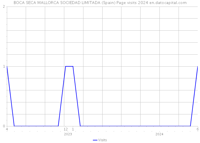 BOCA SECA MALLORCA SOCIEDAD LIMITADA (Spain) Page visits 2024 