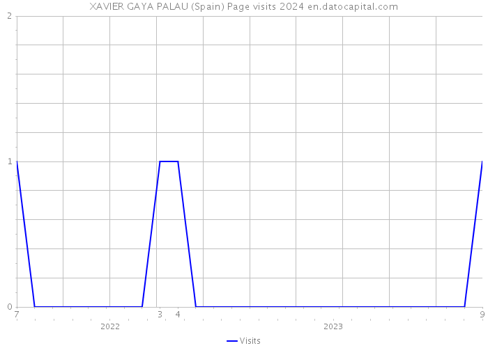 XAVIER GAYA PALAU (Spain) Page visits 2024 
