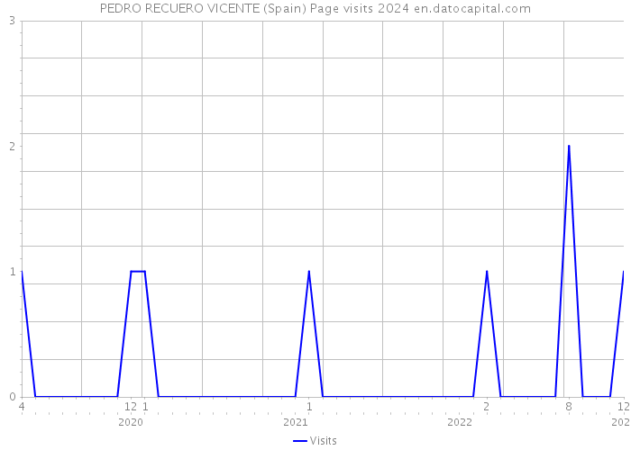 PEDRO RECUERO VICENTE (Spain) Page visits 2024 