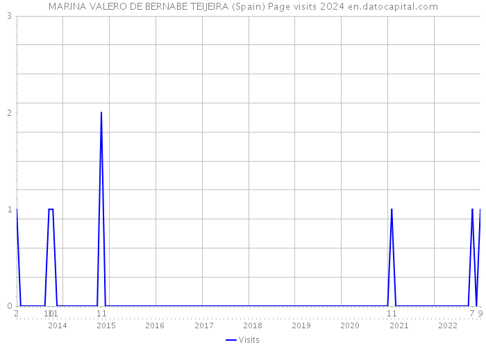 MARINA VALERO DE BERNABE TEIJEIRA (Spain) Page visits 2024 