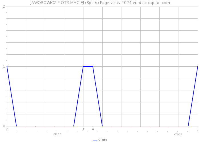 JAWOROWICZ PIOTR MACIEJ (Spain) Page visits 2024 