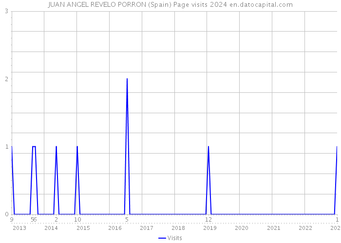 JUAN ANGEL REVELO PORRON (Spain) Page visits 2024 