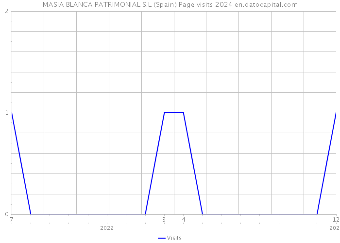 MASIA BLANCA PATRIMONIAL S.L (Spain) Page visits 2024 