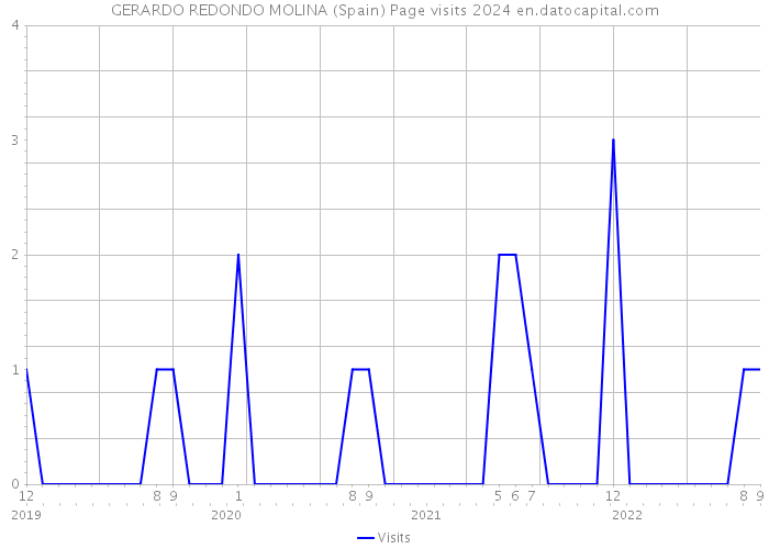 GERARDO REDONDO MOLINA (Spain) Page visits 2024 