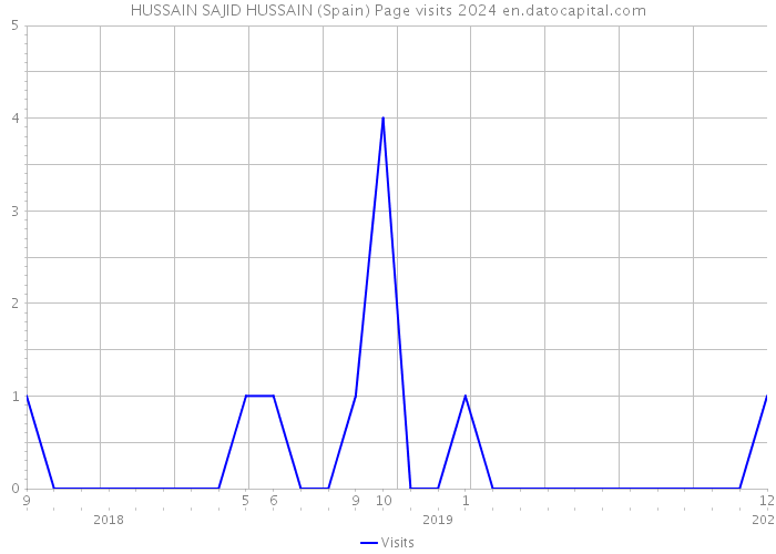 HUSSAIN SAJID HUSSAIN (Spain) Page visits 2024 