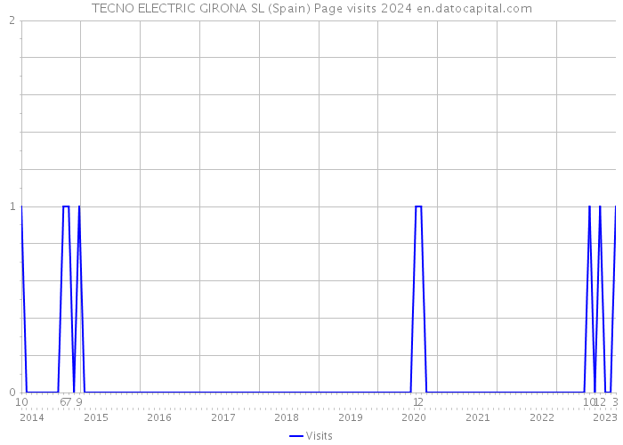 TECNO ELECTRIC GIRONA SL (Spain) Page visits 2024 