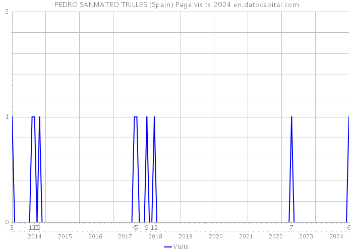 PEDRO SANMATEO TRILLES (Spain) Page visits 2024 
