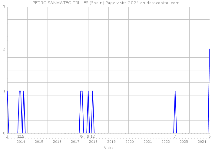 PEDRO SANMATEO TRILLES (Spain) Page visits 2024 