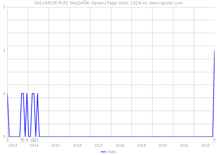 SALVADOR RUIZ SALDAÑA (Spain) Page visits 2024 