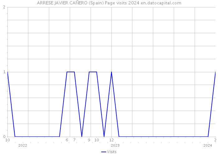 ARRESE JAVIER CAÑERO (Spain) Page visits 2024 