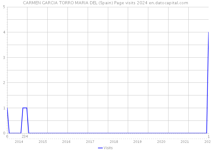 CARMEN GARCIA TORRO MARIA DEL (Spain) Page visits 2024 