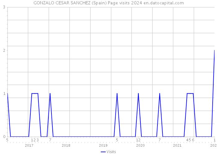 GONZALO CESAR SANCHEZ (Spain) Page visits 2024 