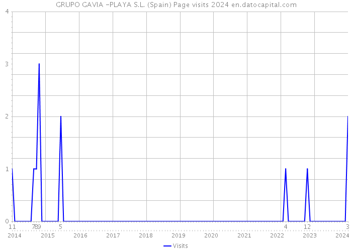 GRUPO GAVIA -PLAYA S.L. (Spain) Page visits 2024 