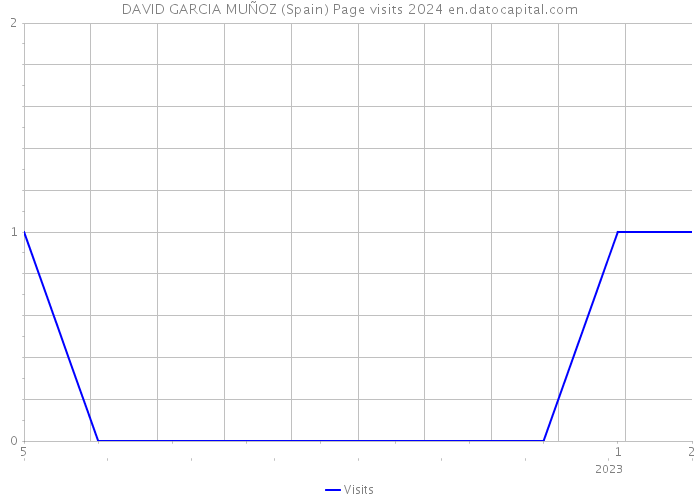 DAVID GARCIA MUÑOZ (Spain) Page visits 2024 
