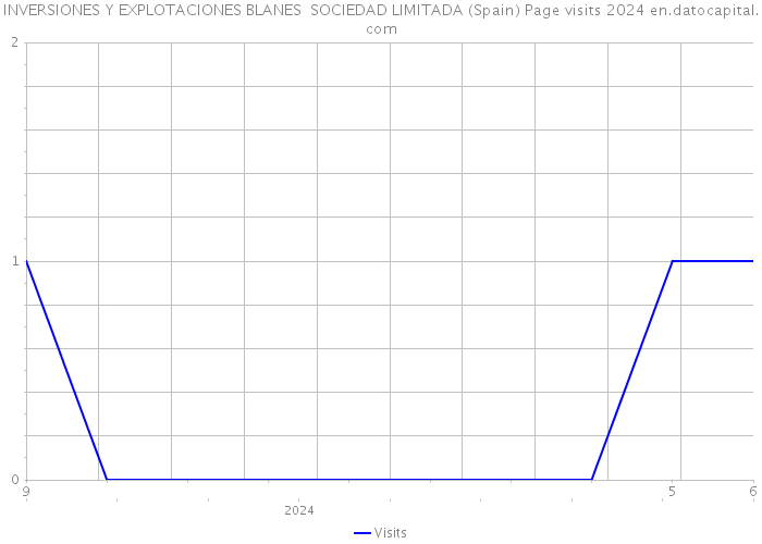 INVERSIONES Y EXPLOTACIONES BLANES SOCIEDAD LIMITADA (Spain) Page visits 2024 