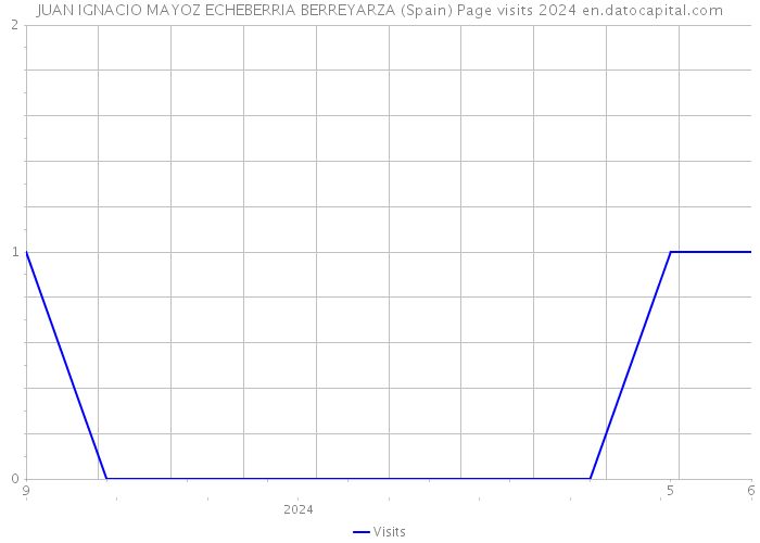 JUAN IGNACIO MAYOZ ECHEBERRIA BERREYARZA (Spain) Page visits 2024 