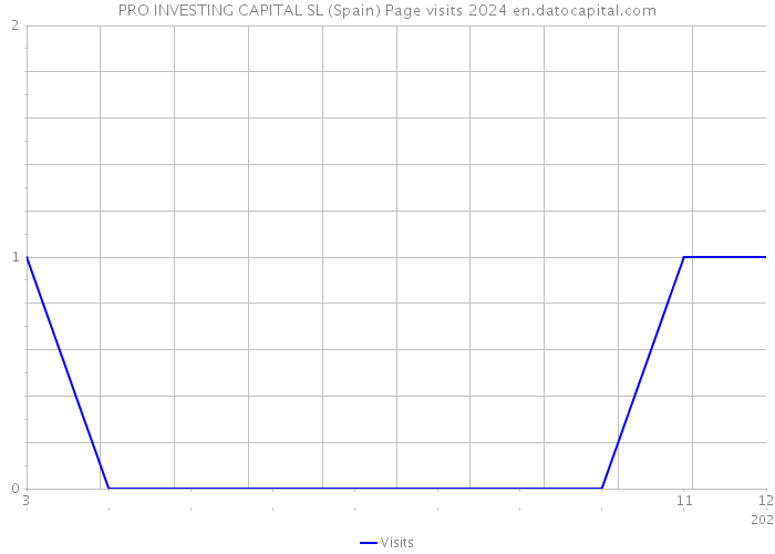 PRO INVESTING CAPITAL SL (Spain) Page visits 2024 