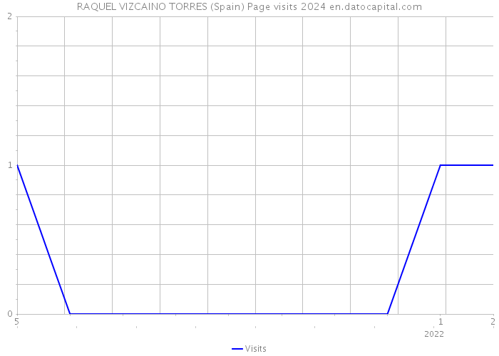 RAQUEL VIZCAINO TORRES (Spain) Page visits 2024 