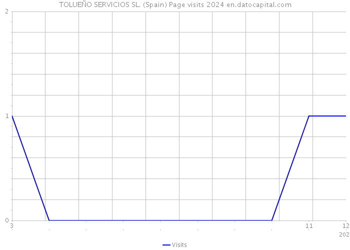 TOLUEÑO SERVICIOS SL. (Spain) Page visits 2024 