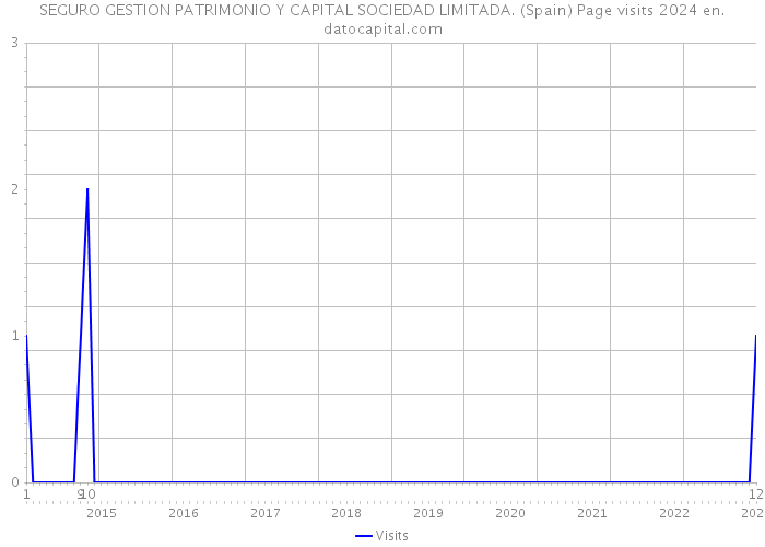 SEGURO GESTION PATRIMONIO Y CAPITAL SOCIEDAD LIMITADA. (Spain) Page visits 2024 
