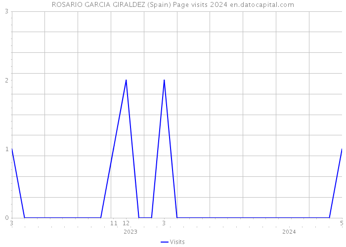 ROSARIO GARCIA GIRALDEZ (Spain) Page visits 2024 