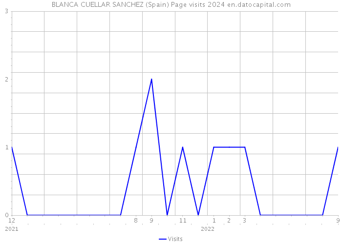 BLANCA CUELLAR SANCHEZ (Spain) Page visits 2024 