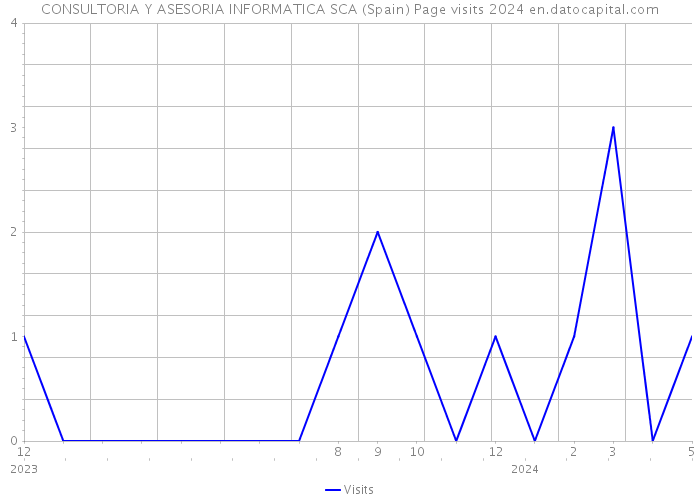 CONSULTORIA Y ASESORIA INFORMATICA SCA (Spain) Page visits 2024 