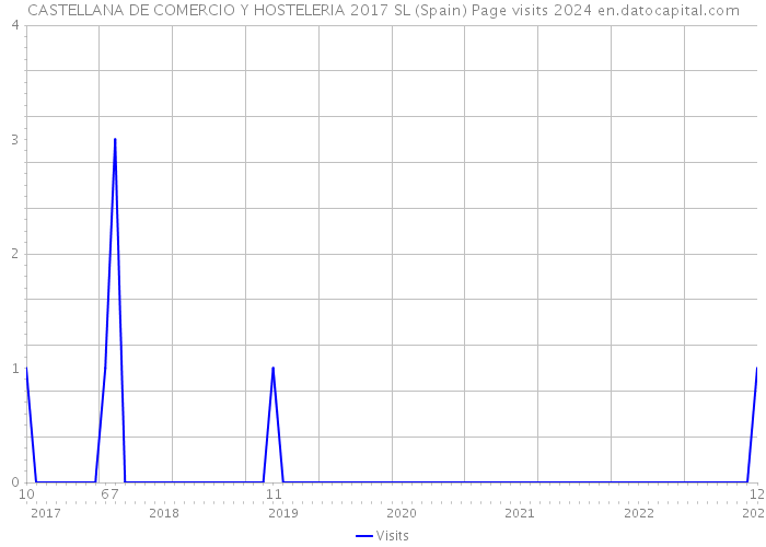 CASTELLANA DE COMERCIO Y HOSTELERIA 2017 SL (Spain) Page visits 2024 