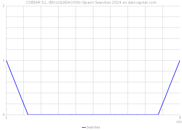 COESAR S.L. (EN LIQUIDACION) (Spain) Searches 2024 