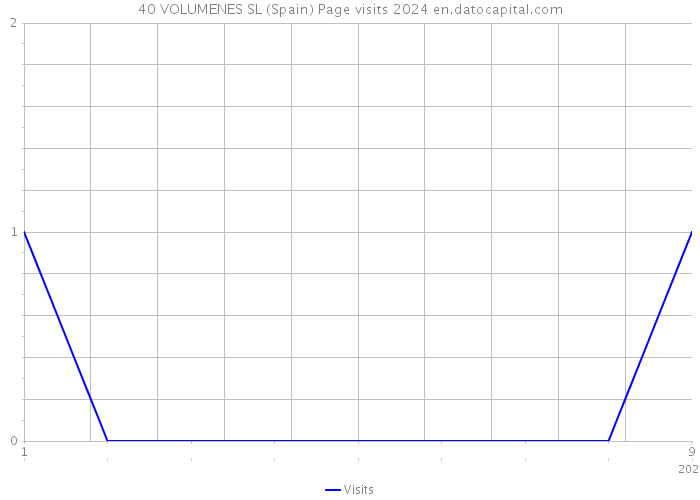 40 VOLUMENES SL (Spain) Page visits 2024 