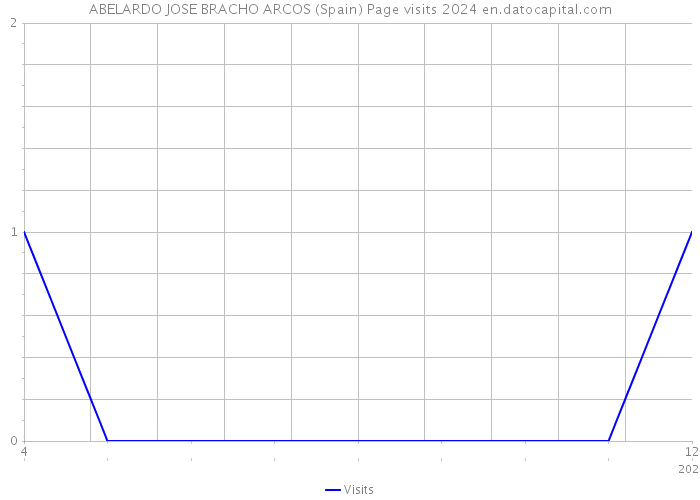 ABELARDO JOSE BRACHO ARCOS (Spain) Page visits 2024 