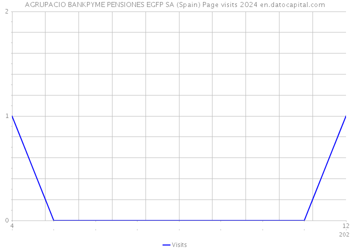 AGRUPACIO BANKPYME PENSIONES EGFP SA (Spain) Page visits 2024 