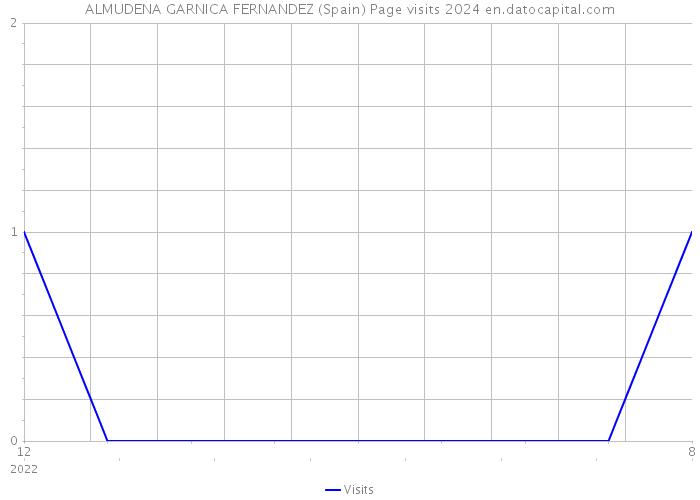 ALMUDENA GARNICA FERNANDEZ (Spain) Page visits 2024 