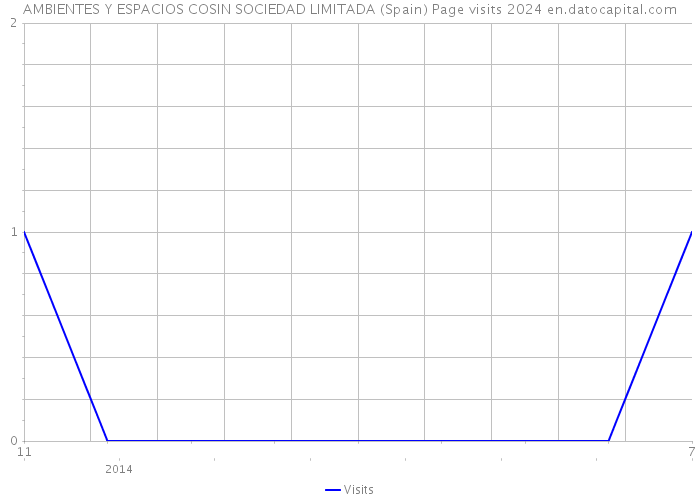 AMBIENTES Y ESPACIOS COSIN SOCIEDAD LIMITADA (Spain) Page visits 2024 