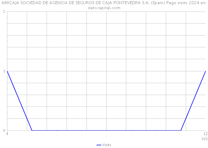 AMICAJA SOCIEDAD DE AGENCIA DE SEGUROS DE CAJA PONTEVEDRA S.A. (Spain) Page visits 2024 