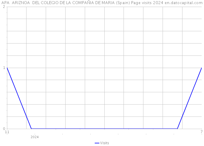 APA ARIZNOA DEL COLEGIO DE LA COMPAÑIA DE MARIA (Spain) Page visits 2024 