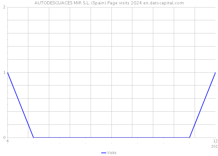 AUTODESGUACES MIR S.L. (Spain) Page visits 2024 