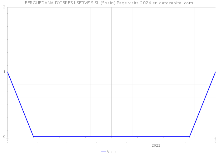 BERGUEDANA D'OBRES I SERVEIS SL (Spain) Page visits 2024 