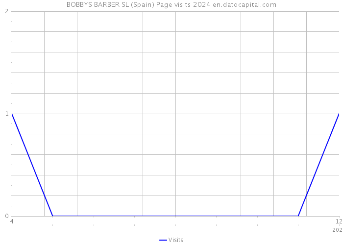 BOBBYS BARBER SL (Spain) Page visits 2024 