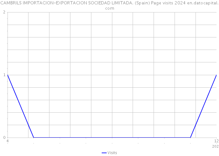 CAMBRILS IMPORTACION-EXPORTACION SOCIEDAD LIMITADA. (Spain) Page visits 2024 