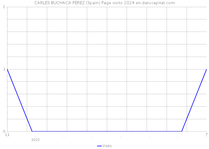 CARLES BUCHACA PEREZ (Spain) Page visits 2024 